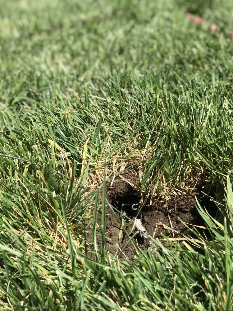 Professional residential landscaping for outdoor upgrades in Concord, CA by Gingrich Horticulture Service