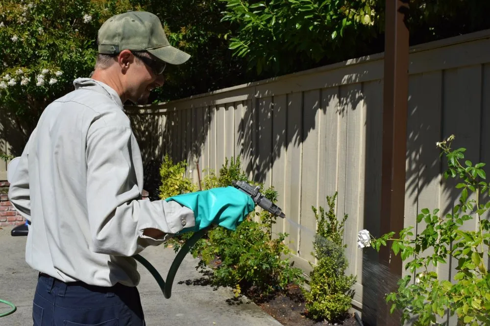Top-rated yard cleanup service for homes across Concord, CA - Gingrich Horticulture Service