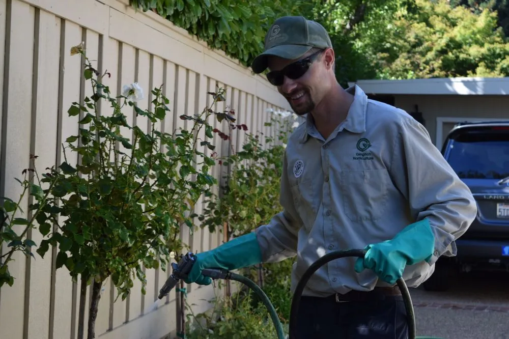 Custom landscaping services for residential properties across Concord, CA - Gingrich Horticulture Service