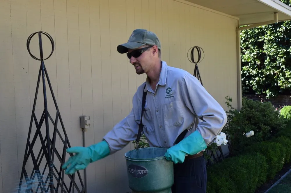 Professional landscape installation near you in Concord, CA by Gingrich Horticulture Service