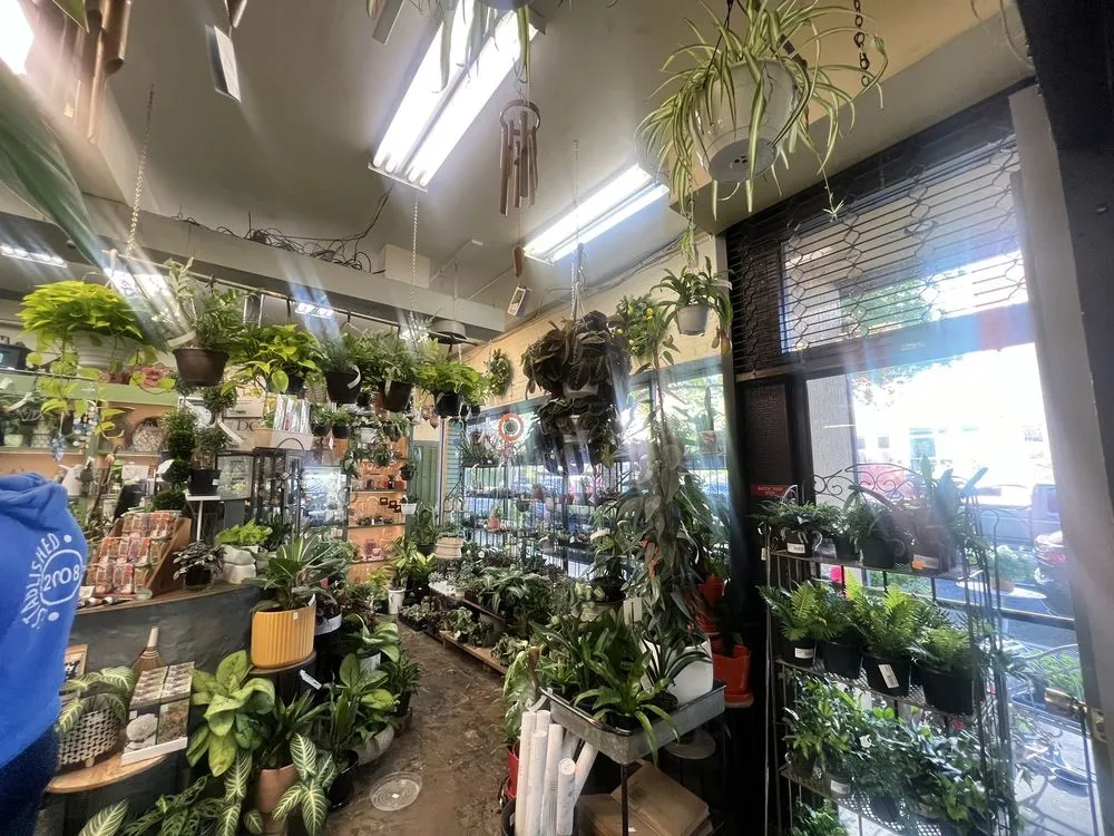 Custom lawn care service in Washington DC, DC by Ginkgo Gardens