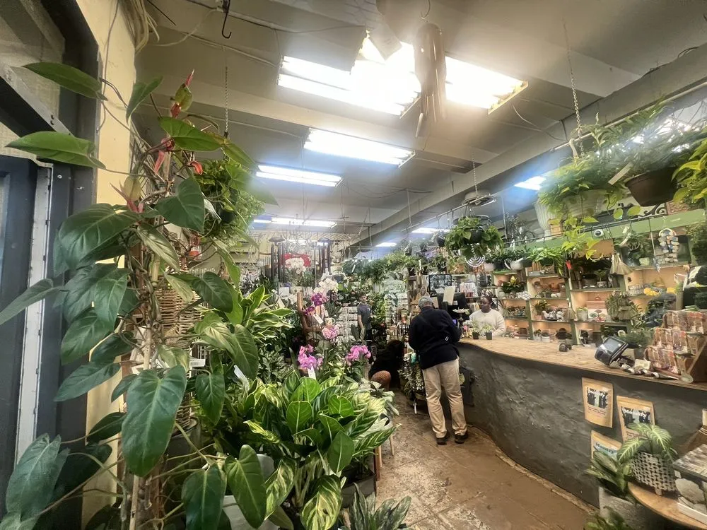 Trusted residential landscaping for homes in Washington DC, DC by Ginkgo Gardens