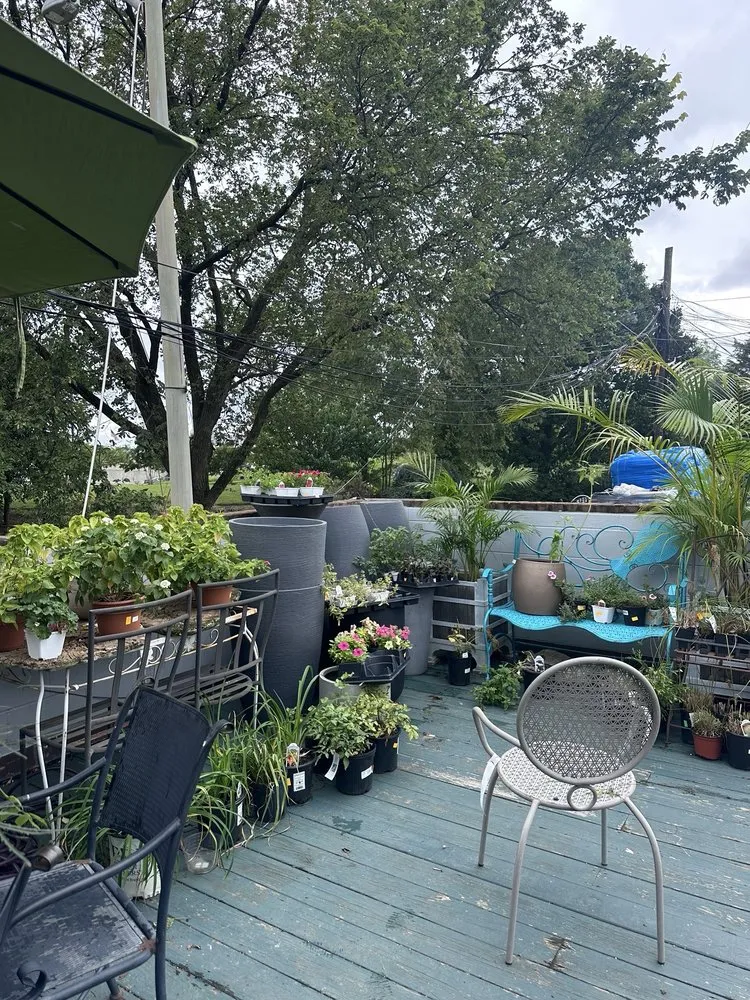 Custom outdoor landscaping with custom design in Washington DC, DC by Ginkgo Gardens