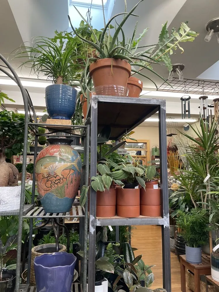 Top-rated garden landscaping for year-round maintenance in Washington DC, DC by Ginkgo Gardens