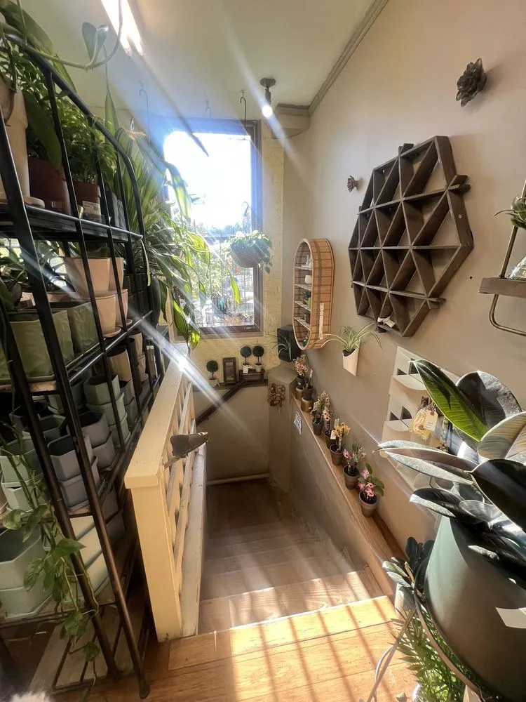 Top-rated garden landscaping in Washington DC, DC by Ginkgo Gardens