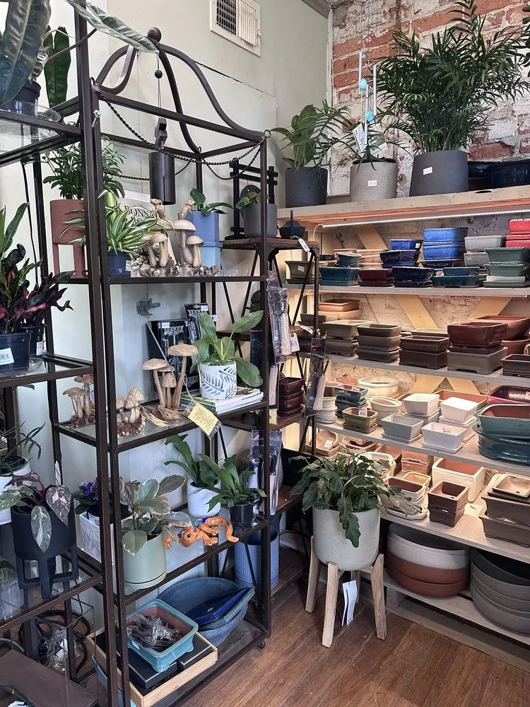 Local yard cleanup service in Washington DC, DC - Ginkgo Gardens