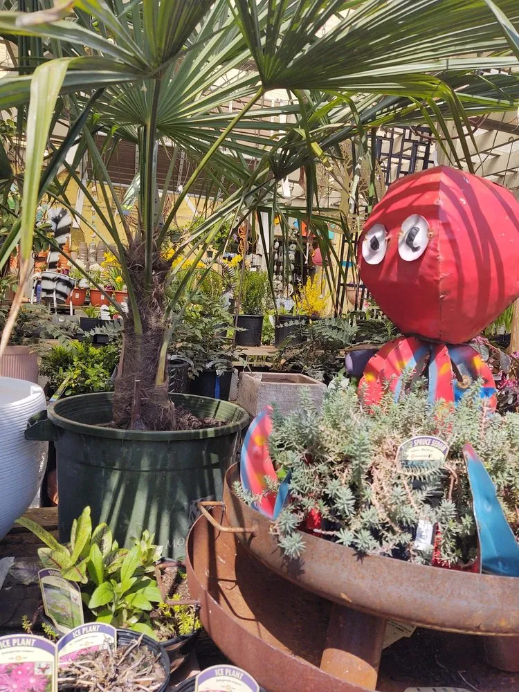 Affordable garden landscaping for residential properties in Washington DC, DC by Ginkgo Gardens