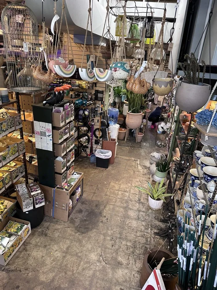 Affordable landscaping services in Washington DC, DC - Ginkgo Gardens