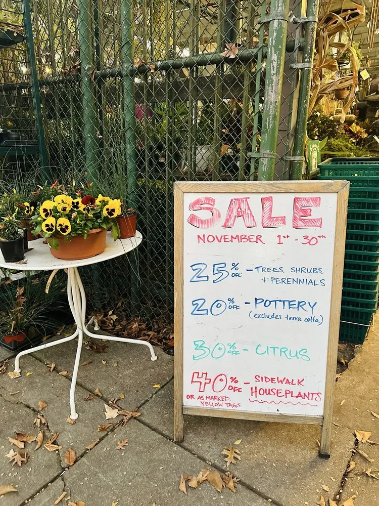 Affordable residential landscaping experts serving Washington DC, DC - Ginkgo Gardens