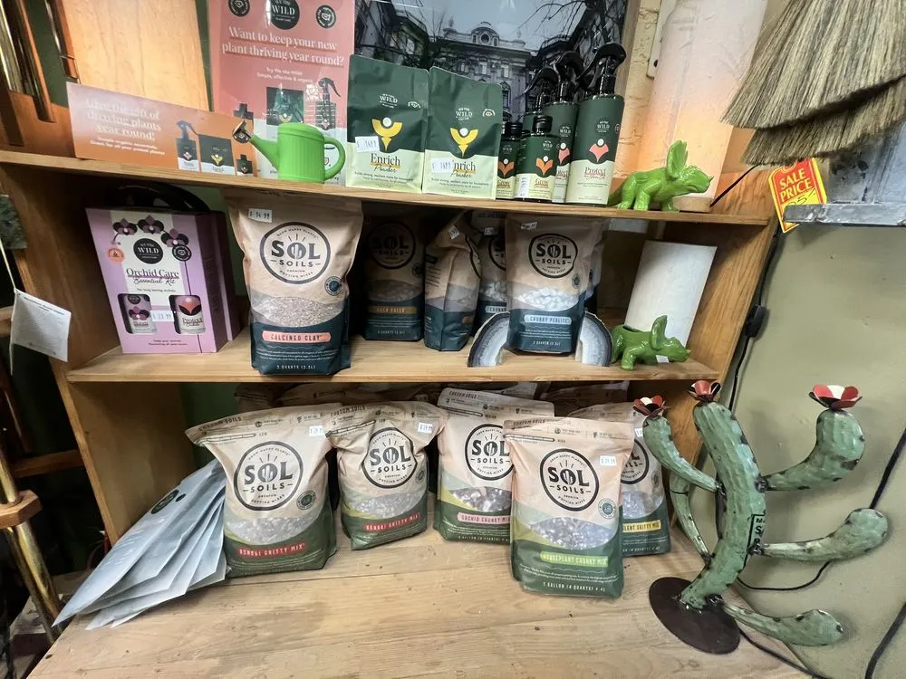 Trusted yard maintenance in Washington DC, DC - Ginkgo Gardens