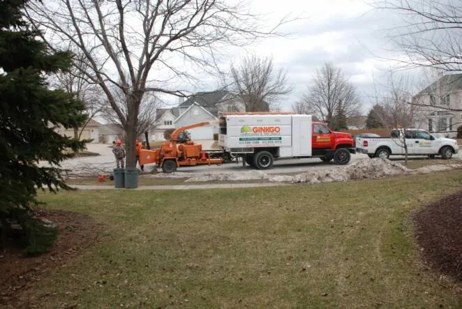 Trusted lawn care service for beautiful yards across Joliet, IL - Ginkgo Landscaping And Tree Service