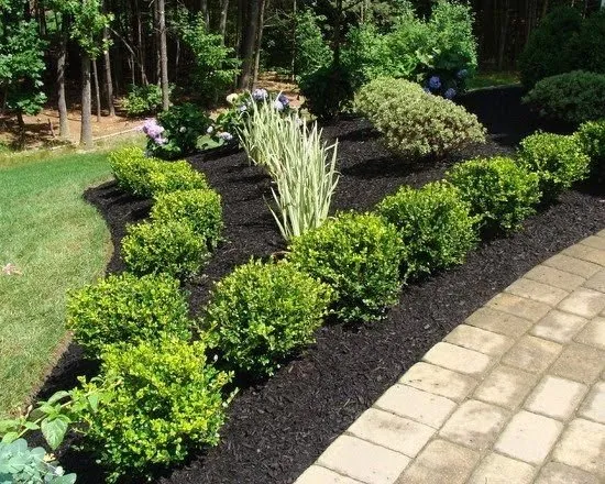 Expert residential landscaping experts serving Joliet, IL - Ginkgo Landscaping And Tree Service
