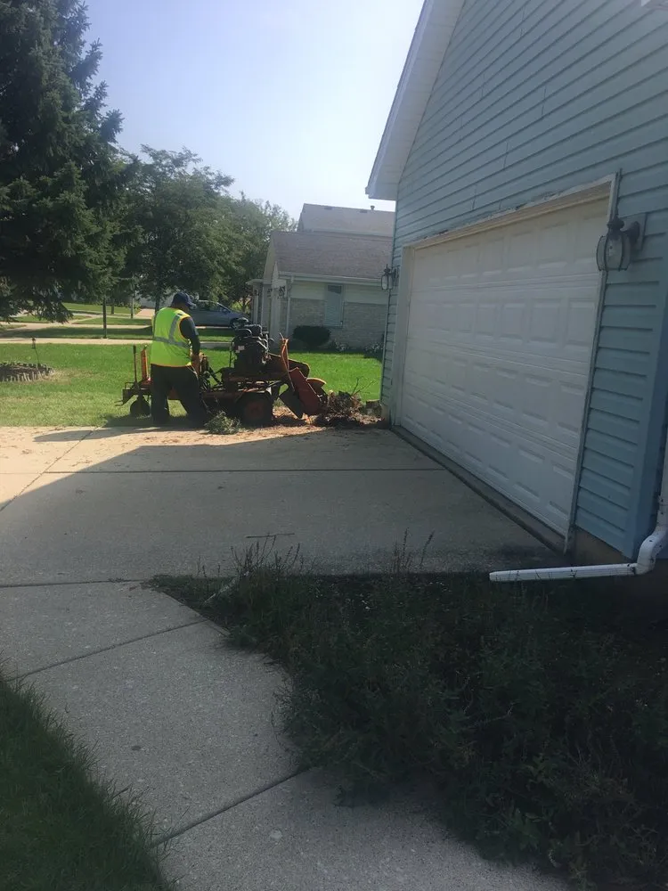 Expert residential landscaping in Joliet, IL - Ginkgo Landscaping And Tree Service