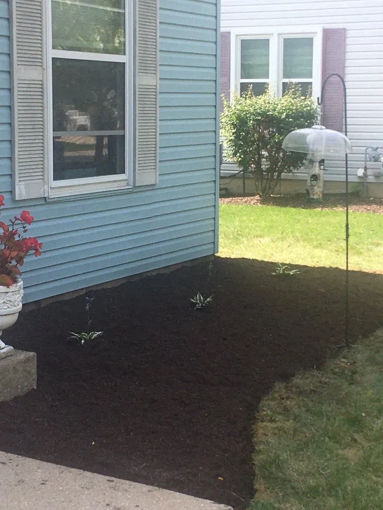 Reliable lawn mowing service for beautiful yards across Joliet, IL - Ginkgo Landscaping And Tree Service