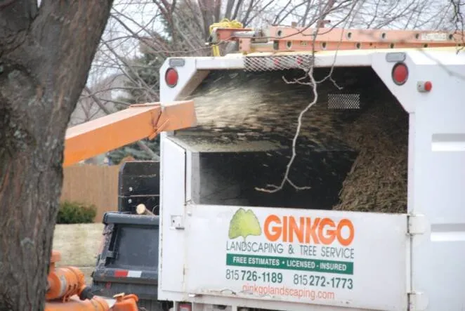 Reliable outdoor landscaping for residential properties across Joliet, IL - Ginkgo Landscaping And Tree Service