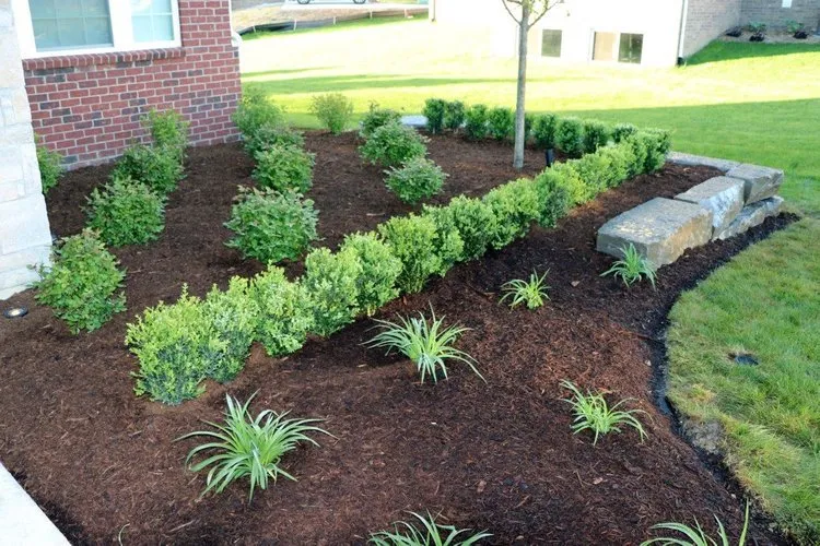 Custom yard cleanup service experts serving Mobile, AL - Ginnis Landscaping