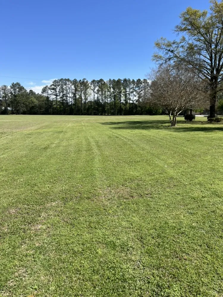 Custom landscape installation in Greenwood, SC by Ginn’s Land Management