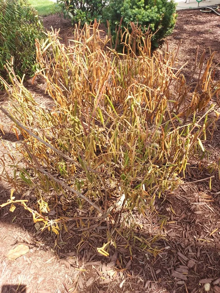 Trusted landscape installation for homes across Addison, IL - Gino's Landscaping