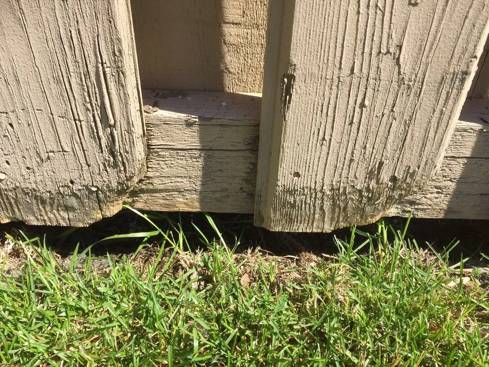 Local lawn care service experts serving Addison, IL - Gino's Landscaping