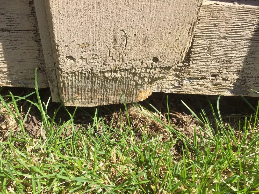 Trusted landscaping services for outdoor upgrades in Addison, IL by Gino's Landscaping