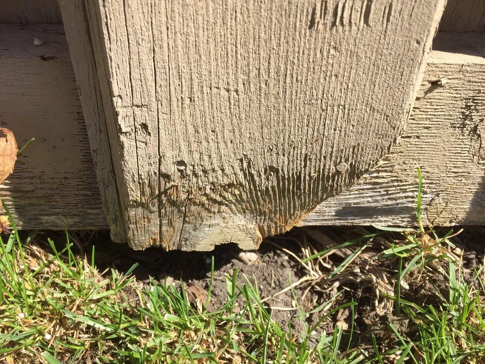 Reliable lawn care service in Addison, IL by Gino's Landscaping