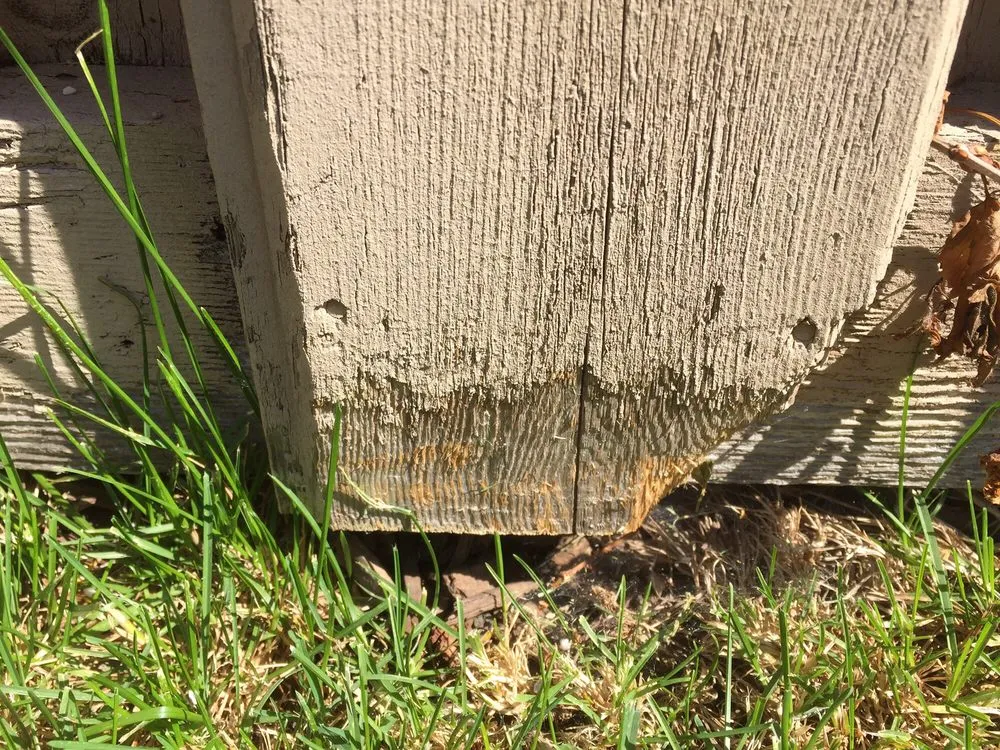 Trusted landscaping services experts serving Addison, IL - Gino's Landscaping