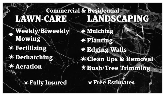 Affordable lawn care service for year-round maintenance across Peotone, IL - Gino's L&L Service