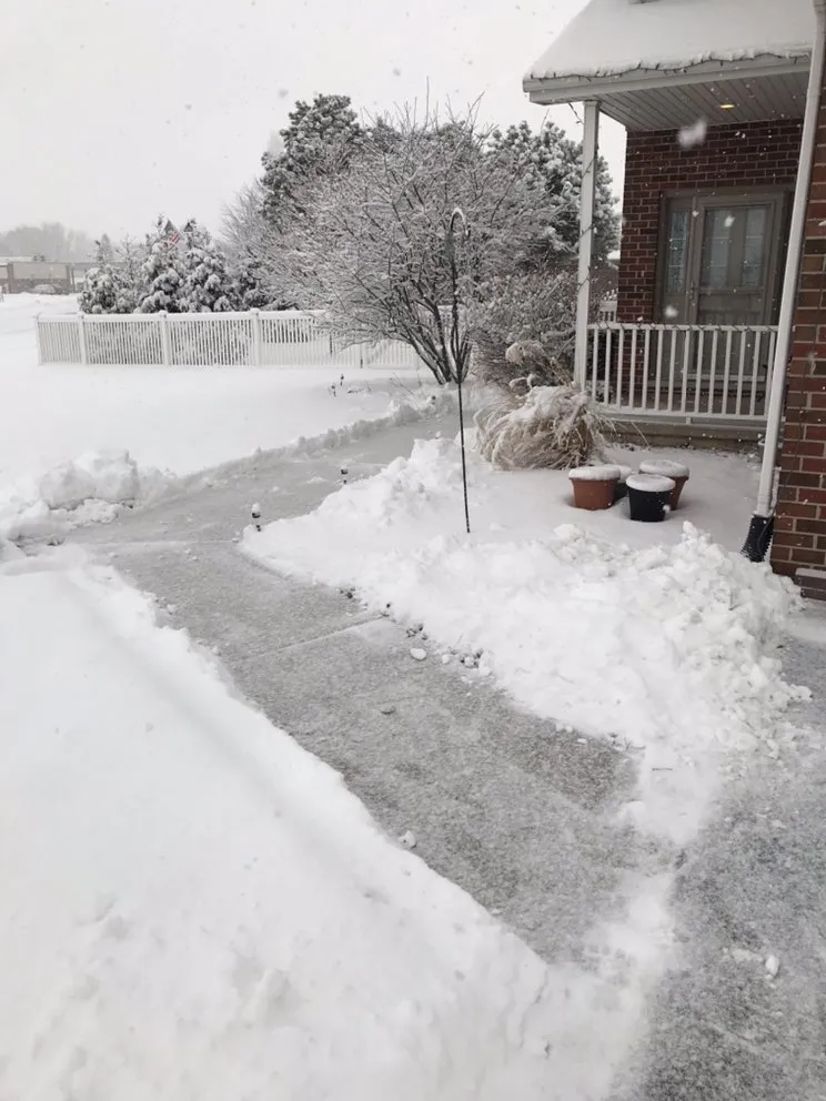 Reliable yard cleanup service in Peotone, IL by Gino's L&L Service