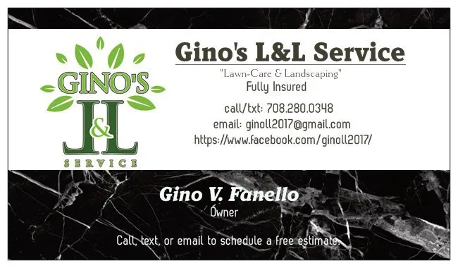 Local yard cleanup service experts serving Peotone, IL - Gino's L&L Service