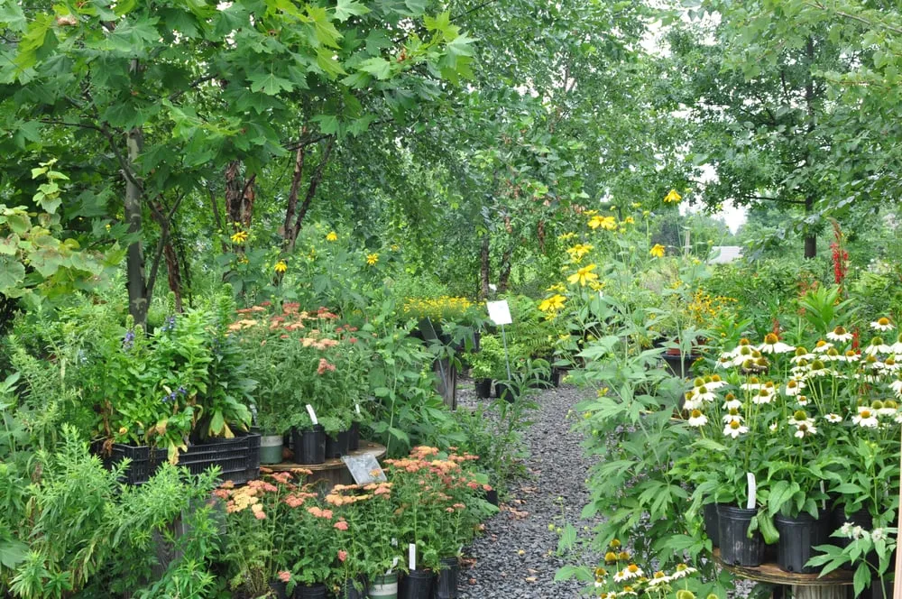 Top-rated residential landscaping near you in Newtown, PA by Gino's Nursery