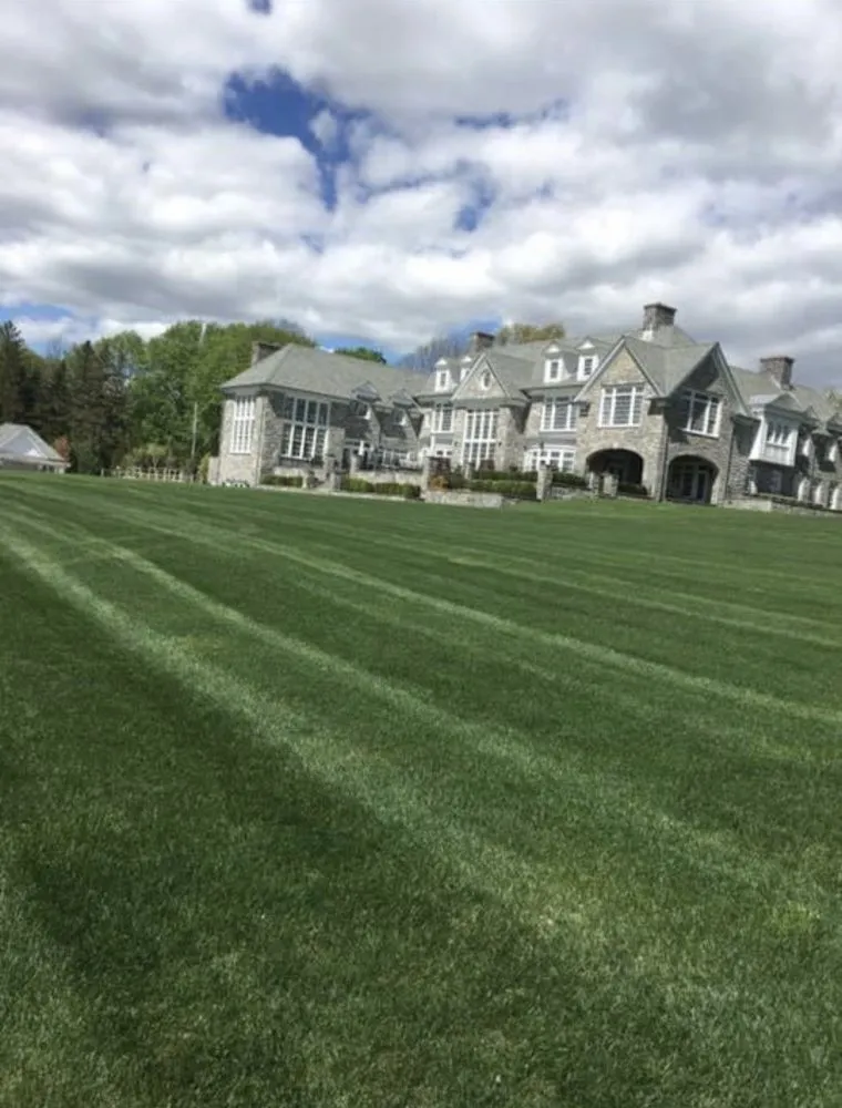 Expert lawn mowing service experts serving Stamford, CT - Gino's Services