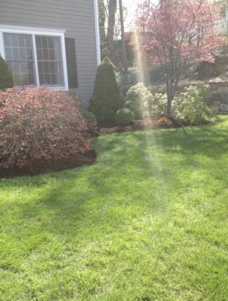 Local landscaping services in Stamford, CT - Gino's Services