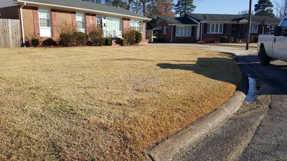 Expert landscape design for homes in Portsmouth, VA by GIO Lawn & Landscaping