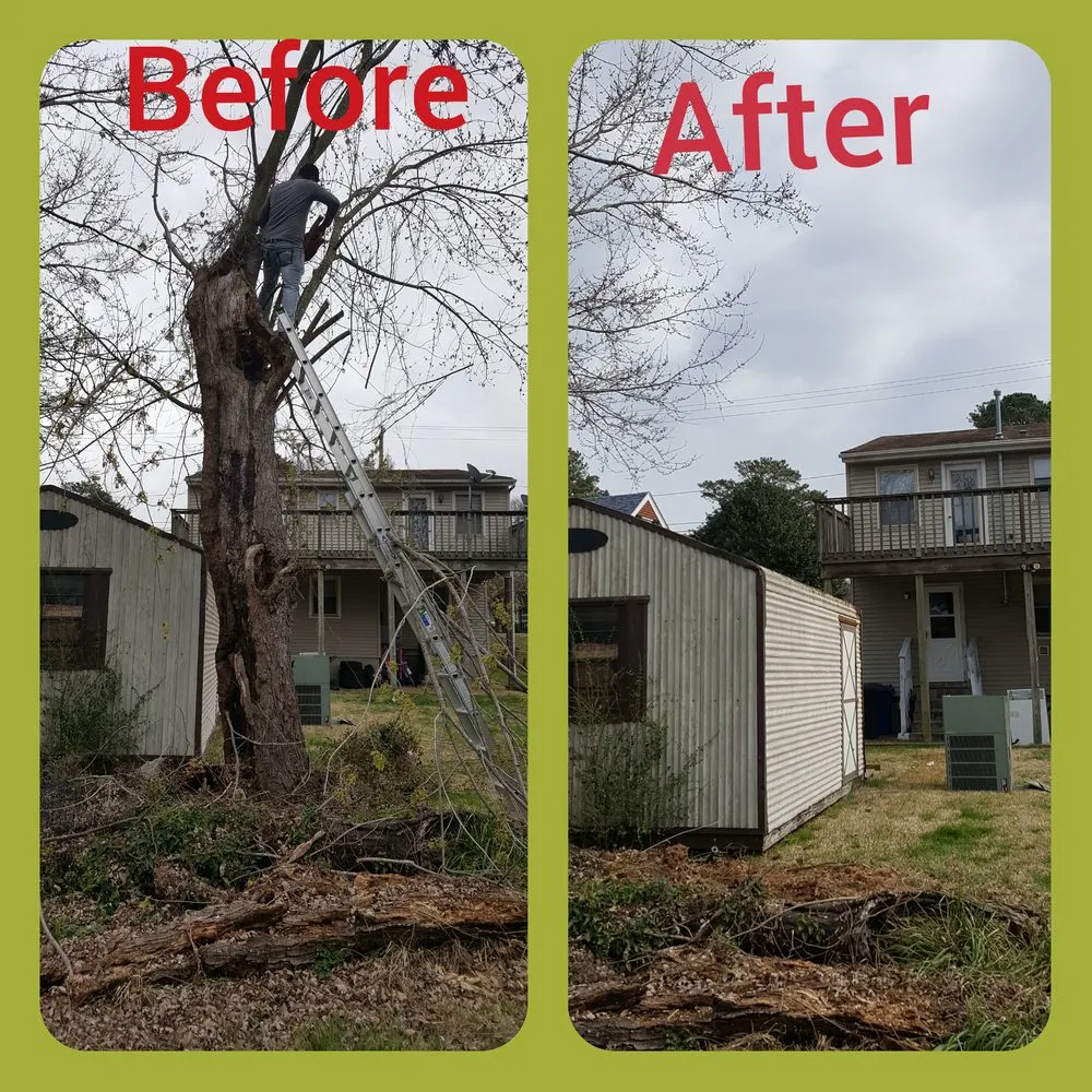 Expert landscaping services near you across Portsmouth, VA - GIO Lawn & Landscaping