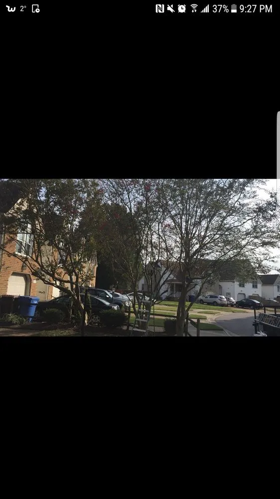 Professional landscape design experts serving Portsmouth, VA - GIO Lawn & Landscaping