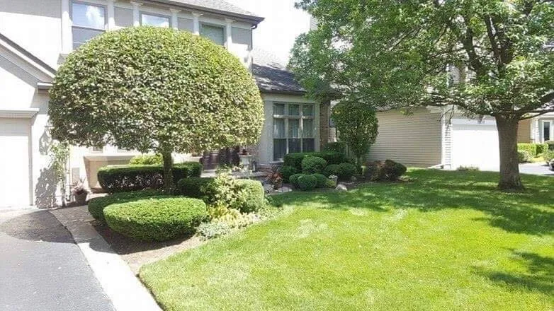 Affordable landscape installation in Chicago, IL - Giorgio & Perez Landscaping