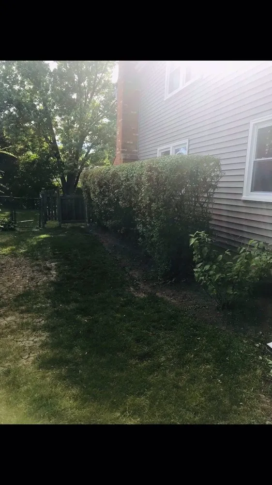 Top-rated lawn care service in Chicago, IL - Giorgio & Perez Landscaping