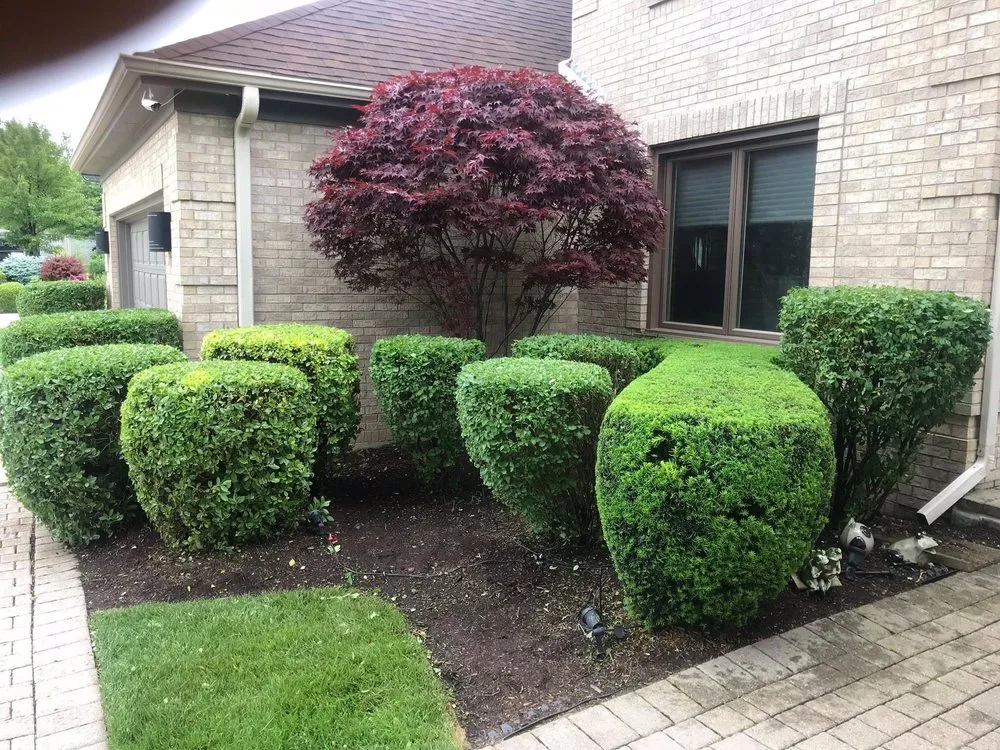 Expert lawn mowing service for homes in Chicago, IL by Giorgio & Perez Landscaping