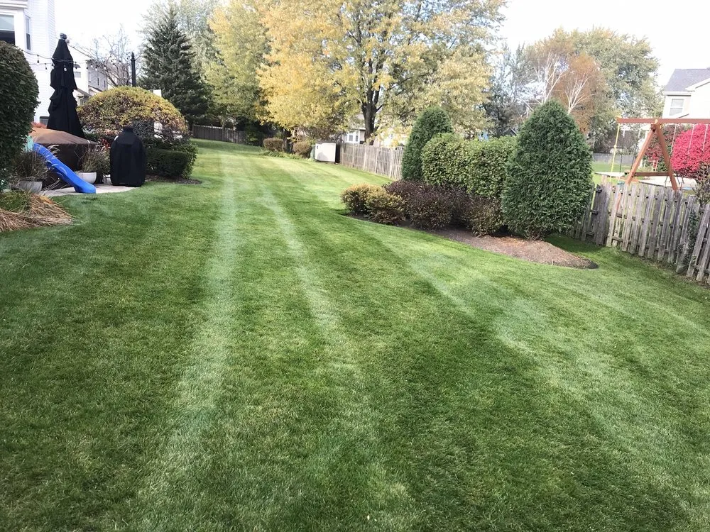 Reliable lawn care service for outdoor upgrades in Chicago, IL by Giorgio & Perez Landscaping