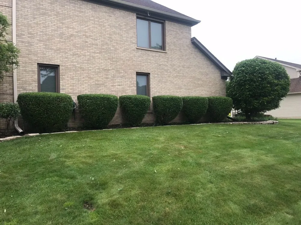 Local landscape design in Chicago, IL - Giorgio & Perez Landscaping