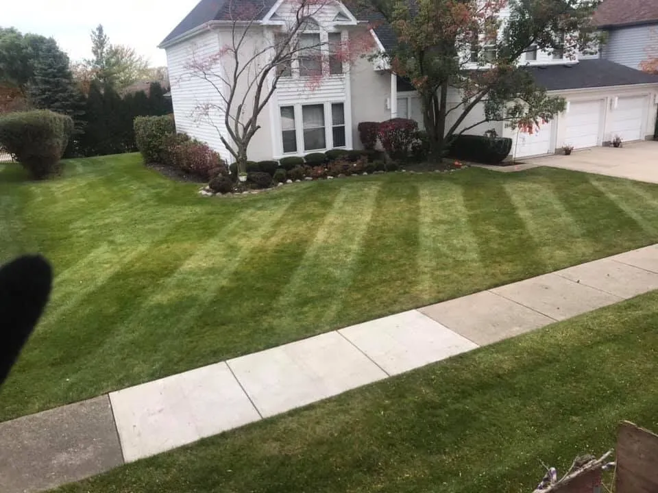 Reliable landscape installation for year-round maintenance across Chicago, IL - Giorgio & Perez Landscaping