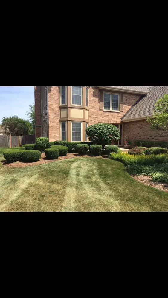 Local yard maintenance for residential properties in Chicago, IL by Giorgio & Perez Landscaping