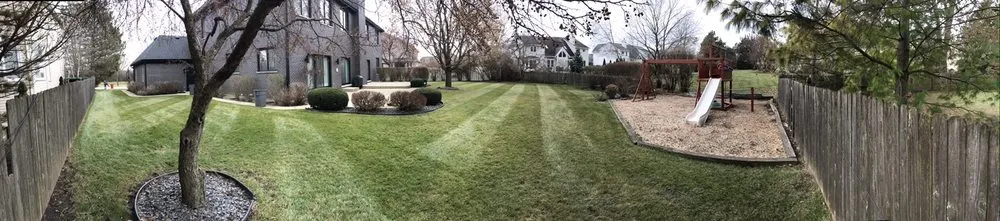 Custom yard cleanup service for beautiful yards across Chicago, IL - Giorgio & Perez Landscaping