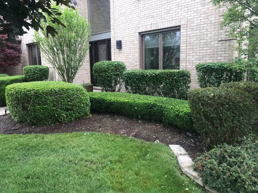 Affordable landscaping services experts serving Chicago, IL - Giorgio & Perez Landscaping