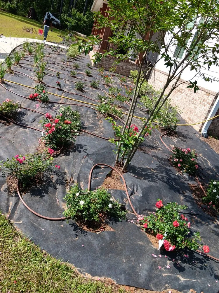 Professional garden landscaping for year-round maintenance across Tallahassee, FL - Giorgio's Lawn and Lanscape Works