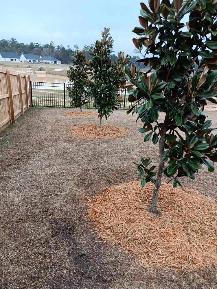 Local yard maintenance with custom design across Tallahassee, FL - Giorgio's Lawn and Lanscape Works