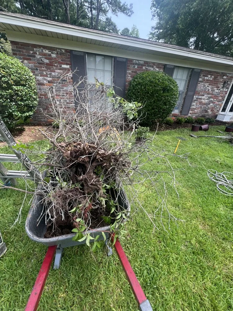 Top-rated outdoor landscaping in Canton, MS - Gios Garden