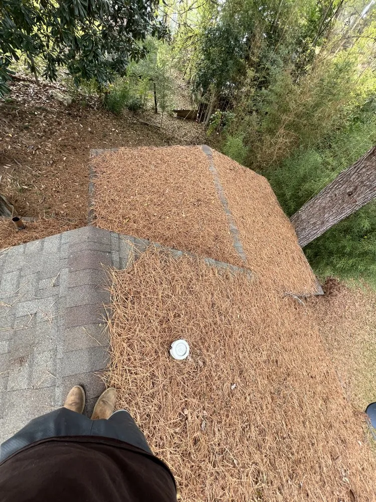 Custom yard maintenance in Canton, MS by Gios Garden