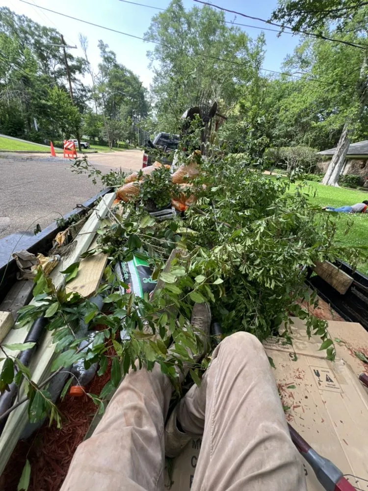 Top-rated garden landscaping in Canton, MS by Gios Garden