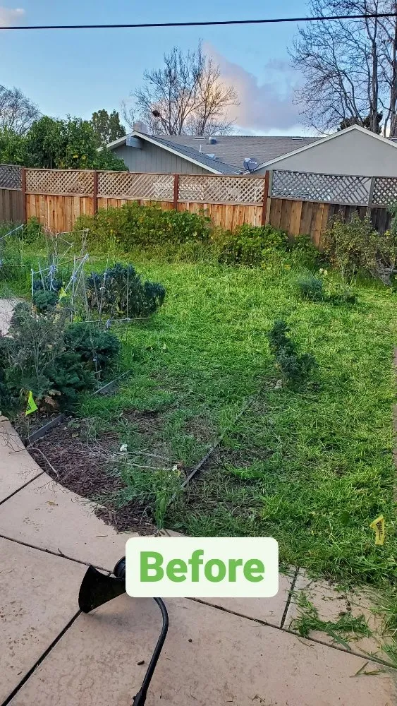 Local lawn care service experts serving West Menlo Park, CA - Gio’s Junk Removal and Demolition